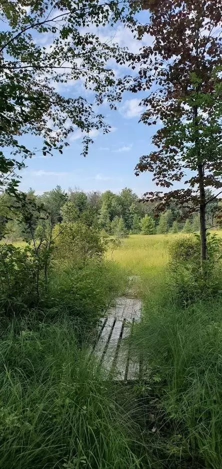 Baseline Road, White Cloud, MI 49349 photo 36