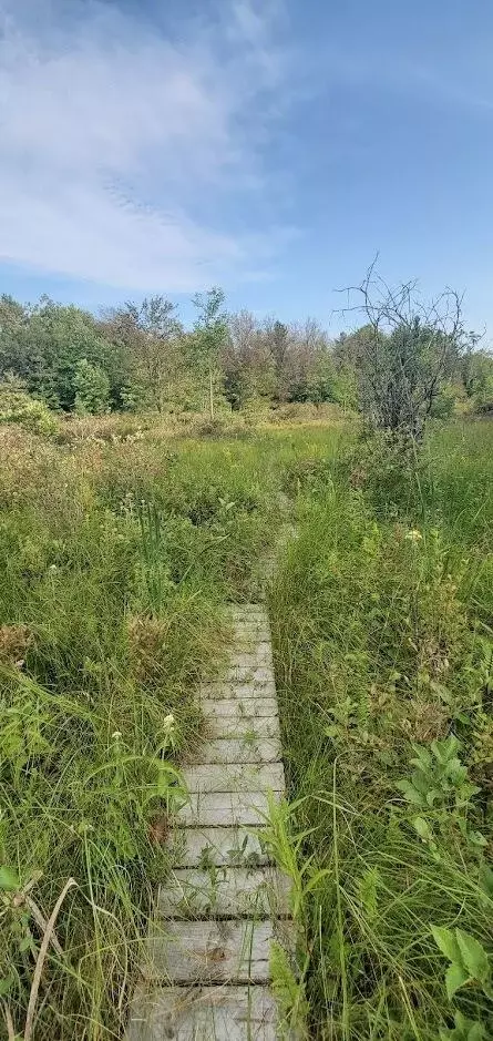 Baseline Road, White Cloud, MI 49349 photo 34