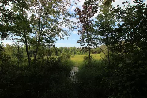 Baseline Road, White Cloud, MI 49349 photo 31