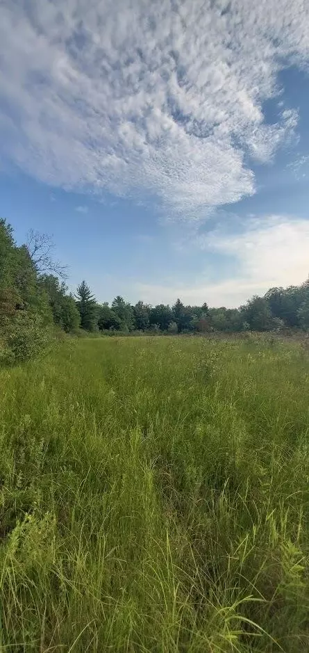 Baseline Road, White Cloud, MI 49349 photo 37