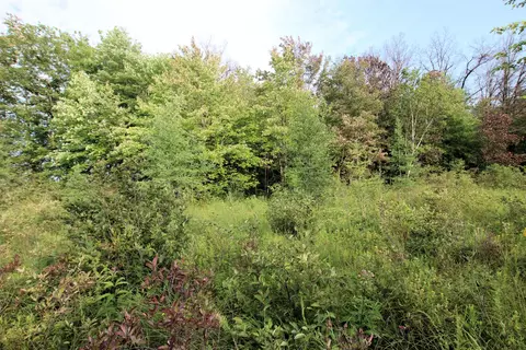 Baseline Road, White Cloud, MI 49349 photo 26