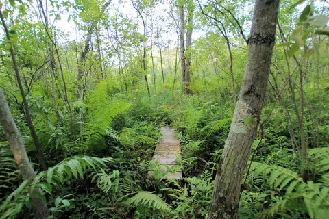 Baseline Road, White Cloud, MI 49349 photo 22