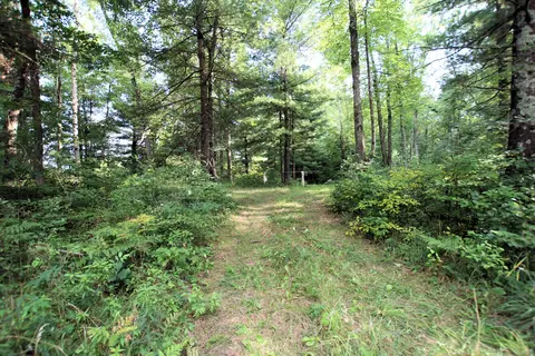 Baseline Road, White Cloud, MI 49349 photo 9