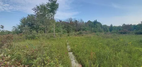 Baseline Road, White Cloud, MI 49349 photo 35