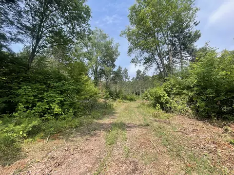 V/l 80a Mcpherson Road, Alden, MI 49612