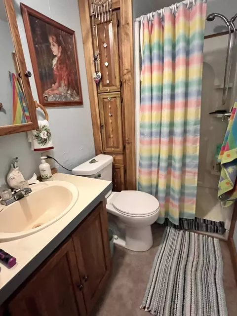 9519 W Dr - Hilltop, Jerome, MI 49249 photo 18