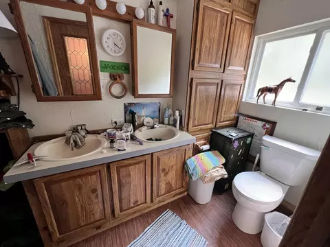 9519 W Dr - Hilltop, Jerome, MI 49249 photo 14