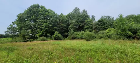0 E Johnson Rd, Hesperia, MI 49421 photo 20