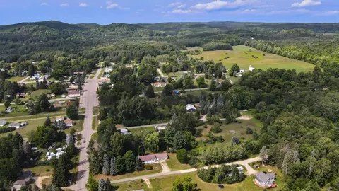 106 E Wells St, Harrietta, MI 49638 photo 46