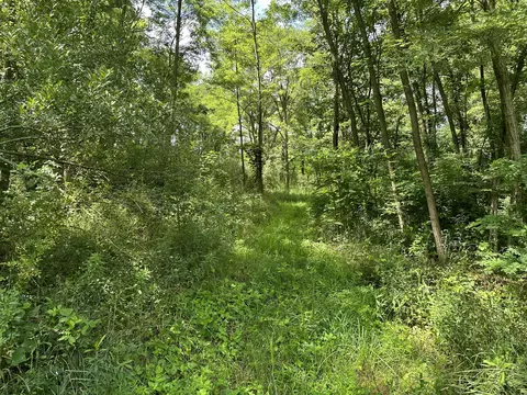 N Q Drive, Marshall, MI 49068 photo 10