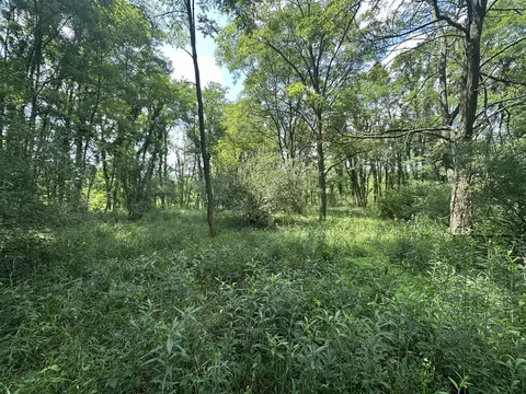 N Q Drive, Marshall, MI 49068 photo 11