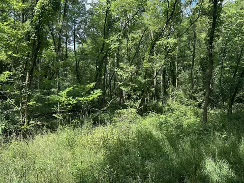 N Q Drive, Marshall, MI 49068 photo 9