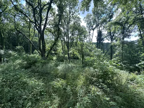 N Q Drive, Marshall, MI 49068 photo 8
