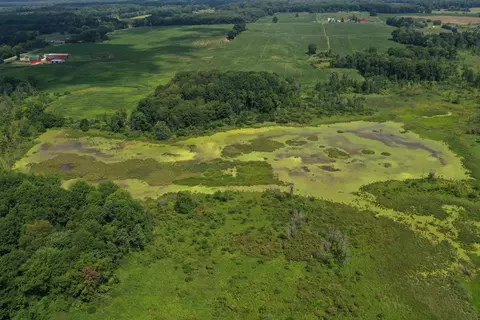 N Q Drive, Marshall, MI 49068 photo 5