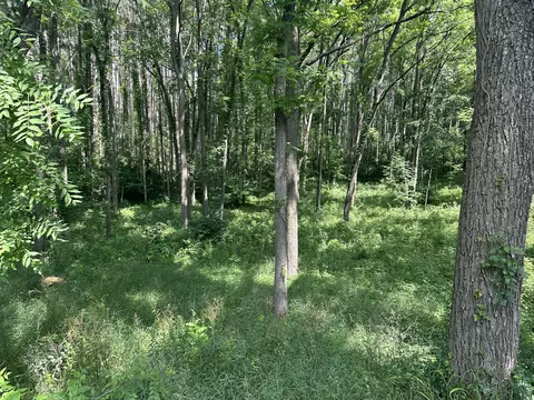 N Q Drive, Marshall, MI 49068 photo 13