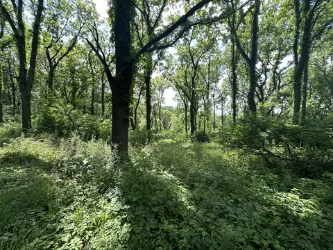 N Q Drive, Marshall, MI 49068 photo 15