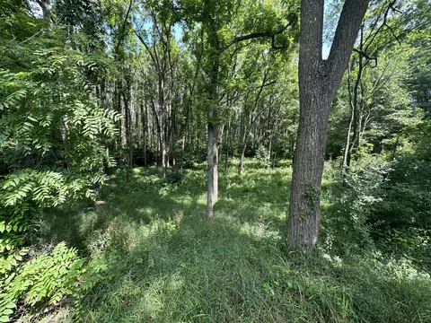 N Q Drive, Marshall, MI 49068 photo 14