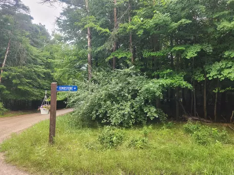 10315 Tombstone Dr, Canadian Lakes, MI 49346