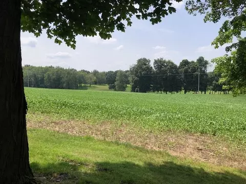 1266 Hadlock Rd, Tekonsha, MI 49092 photo 7