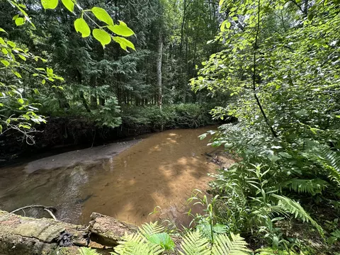 Vl Huckleberry Trail, Harrison, MI 48625