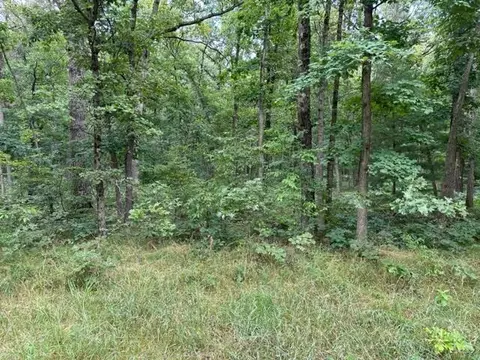 9930 S Spruce Ave, Grant, MI 49327