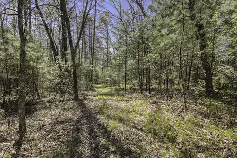 2416 E 72nd St, Newaygo, MI 49337 photo 21