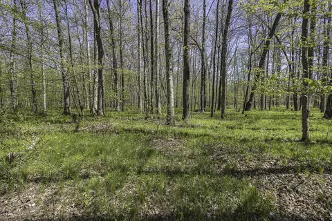 2416 E 72nd St, Newaygo, MI 49337 photo 18