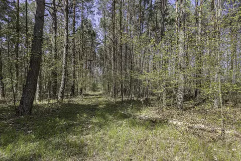 2416 E 72nd St, Newaygo, MI 49337 photo 19