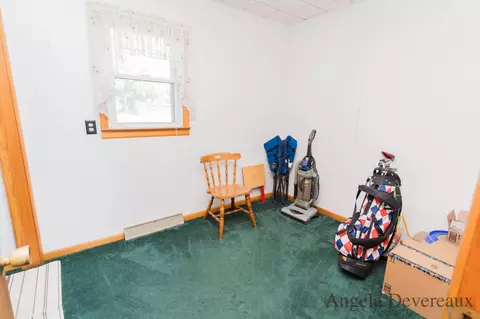 717 Millard St, Belding, MI 48809 photo 29