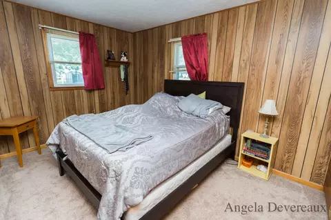 717 Millard St, Belding, MI 48809 photo 24