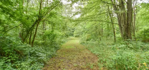 Marian Drive, Coldwater, MI 49036