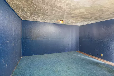 318 N Mill St, Stanton, MI 48888 photo 18