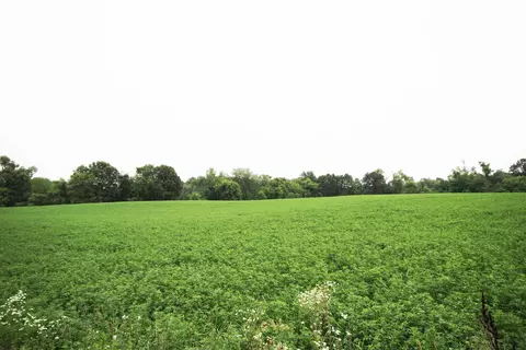 East S Avenue, Vicksburg, MI 49097