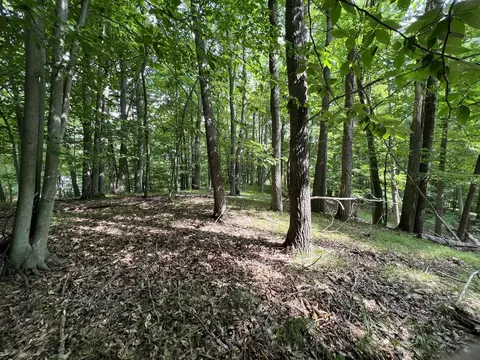 9692 Buffalo Ct, Canadian Lakes, MI 49346