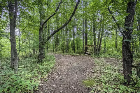 6472 Jordan Rd, Jackson, MI 49201 photo 36
