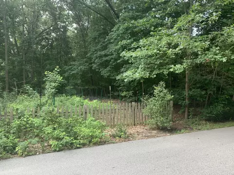 V/l Chippewa Avenue, Saugatuck, MI 49453