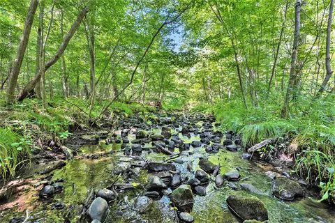 V/l Rickert Road, Saranac, MI 48881