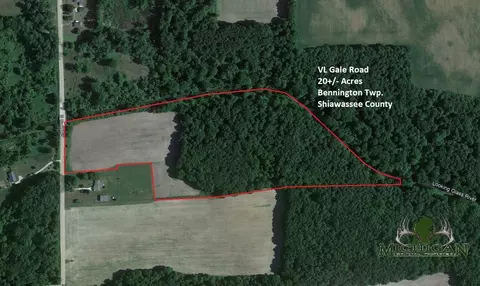 Vl Gale Road, Morrice, MI 48857