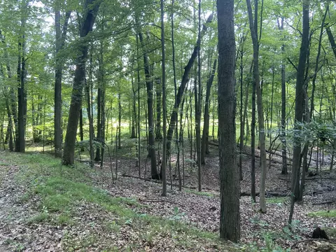 Tbd Hough Road, Dryden, MI 48428