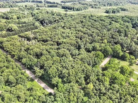 Dudd Road - Parcel 3, Three Rivers, MI 49093 photo 2