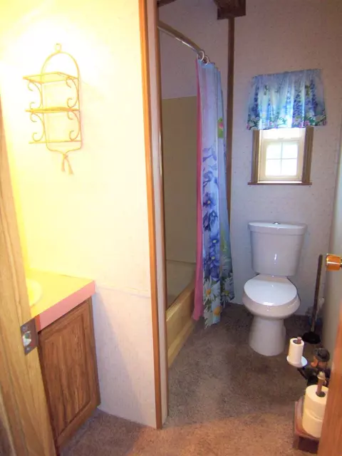 8101 20th Ave, Sears, MI 49679 photo 8