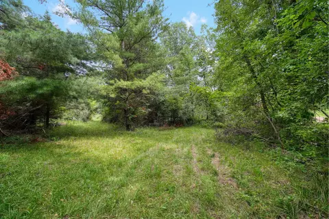 V/l Hickory Creek Lane Road, Parma, MI 49269 photo 6
