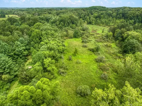 V/l Hickory Creek Lane Road, Parma, MI 49269 photo 5