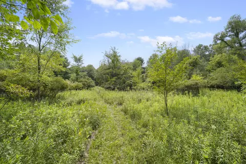V/l Hickory Creek Lane Road, Parma, MI 49269 photo 11