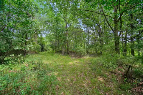 V/l Hickory Creek Lane Road, Parma, MI 49269 photo 8