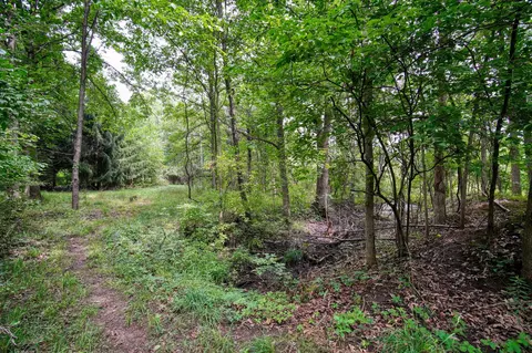 V/l Hickory Creek Lane Road, Parma, MI 49269 photo 9