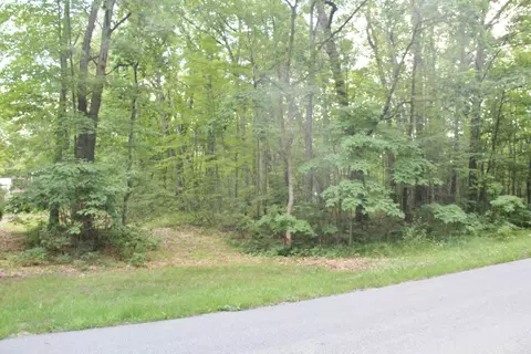 V/l E Chickasaw Trail, Branch, MI 49402