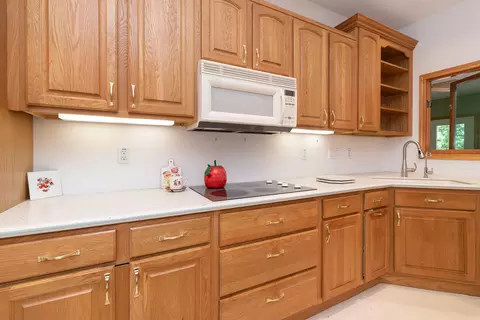 10300 Corey Bluff Rd, Three Rivers, MI 49093 photo 41