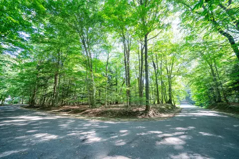Vl Sassafras Drive Lot 28, South Haven, MI 49090