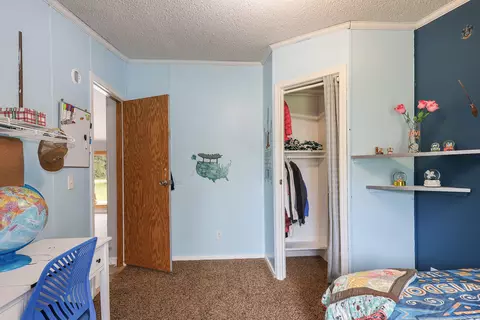 171 Ann St SE, Stanton, MI 48888 photo 16